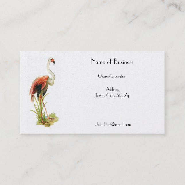 Carte de visite de cru de Flamant rose (Devant)