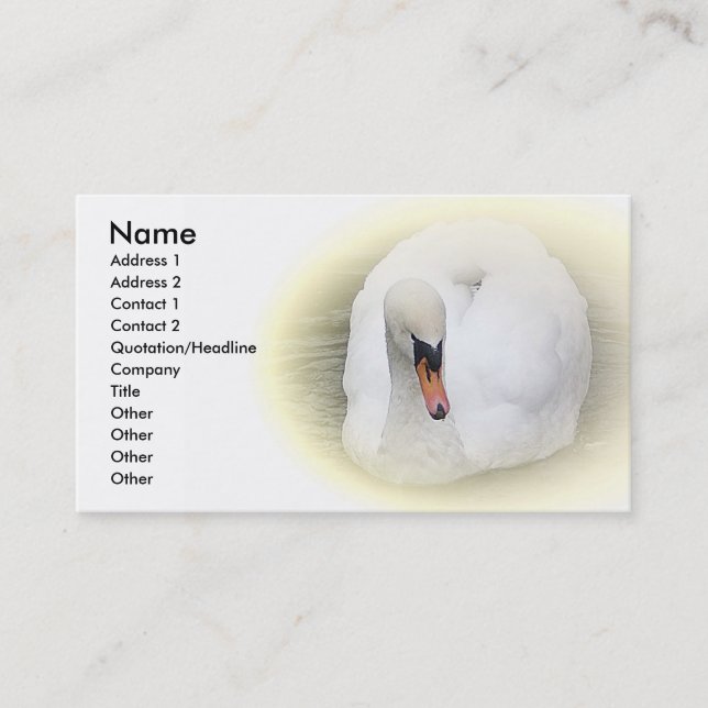 Carte de visite de cygne de Sost (Devant)