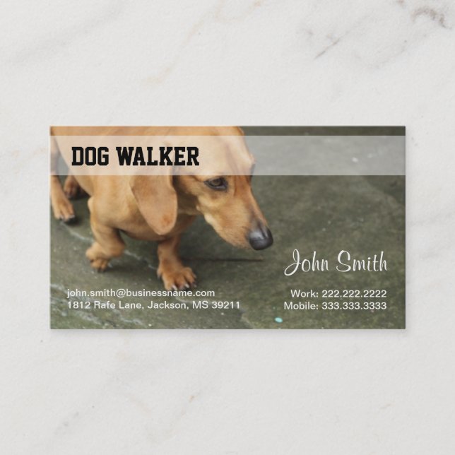 Carte de visite de Dog Walker (Devant)