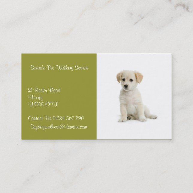 Carte de visite de Dog Walker (Devant)