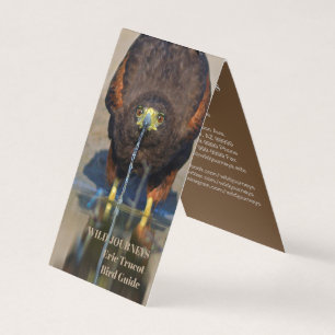 Carte de visite de faucon de guide de Birding
