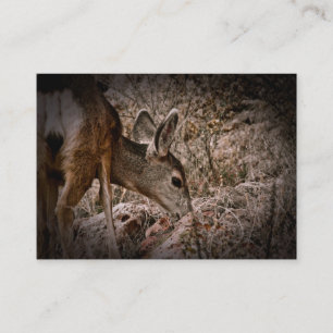 Carte de visite de faune de cerfs communs de