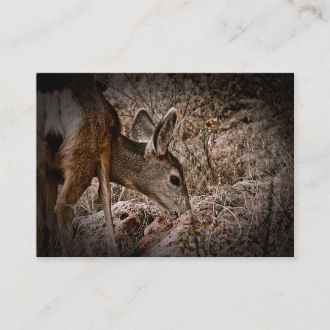 Carte de visite de faune de cerfs communs de (Devant)