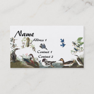 Carte de visite de faune d'oiseaux de collage
