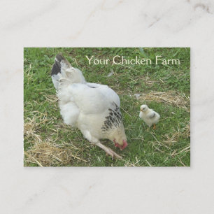 Carte de visite de ferme de poulet