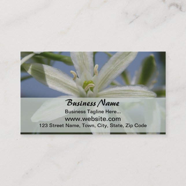Carte de visite de fleurs blanches (Devant)