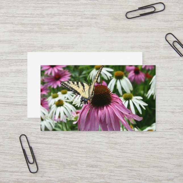 Carte de visite de fleurs de tigre à queue noire (Devant/Arrière en situation)