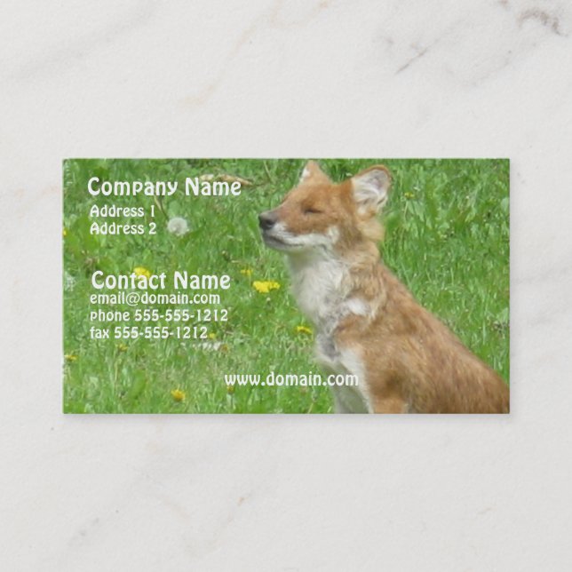 Carte de visite de Fox (Devant)