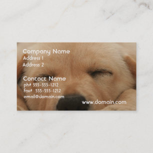 Carte de visite de golden retriever de sommeil