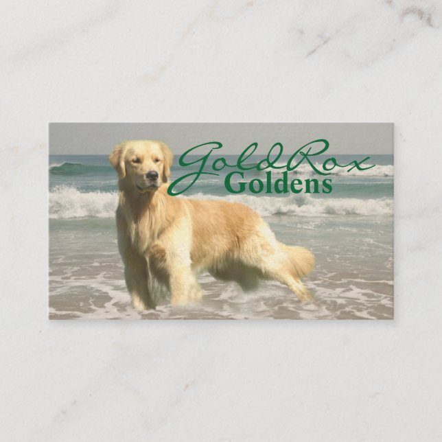 Carte de visite de GoldRox Goldens (Devant)