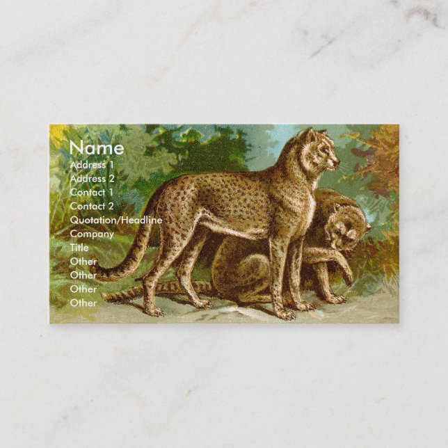 Carte de visite de guépard (Devant)