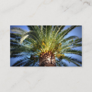 Carte de visite de Key West