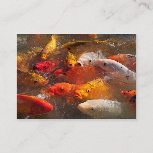 Carte de visite de Koi (Devant)