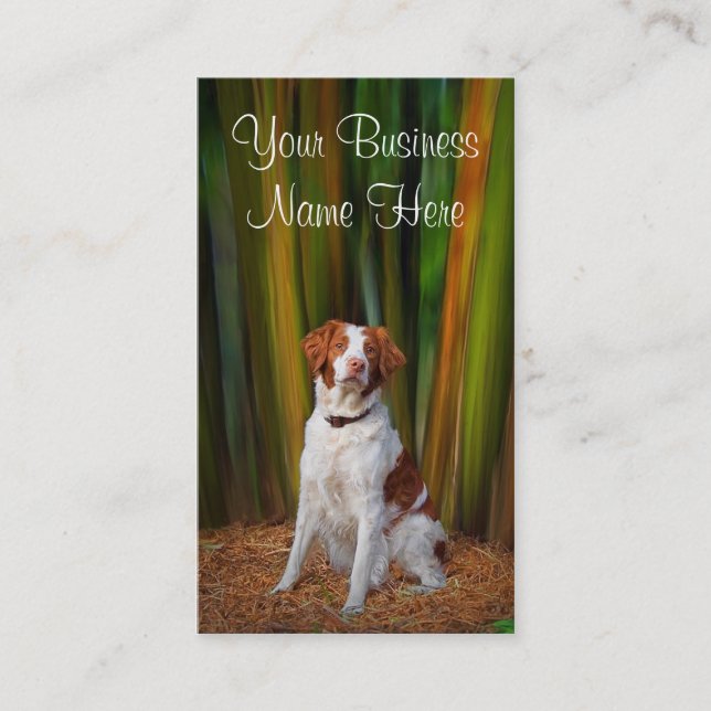 Carte de visite de la Bretagne (Devant)