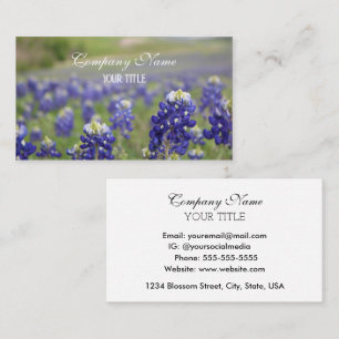Carte de visite de la société Bluebonnets Texas