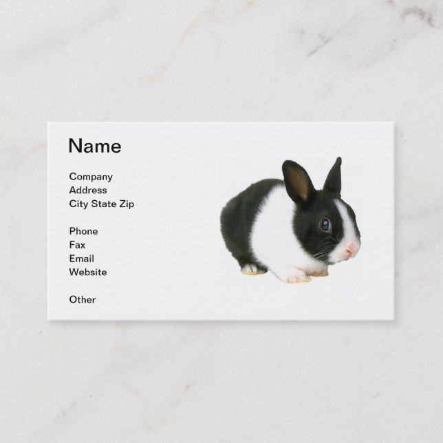 Carte de visite de lapin de nain noir et blanc (Devant)