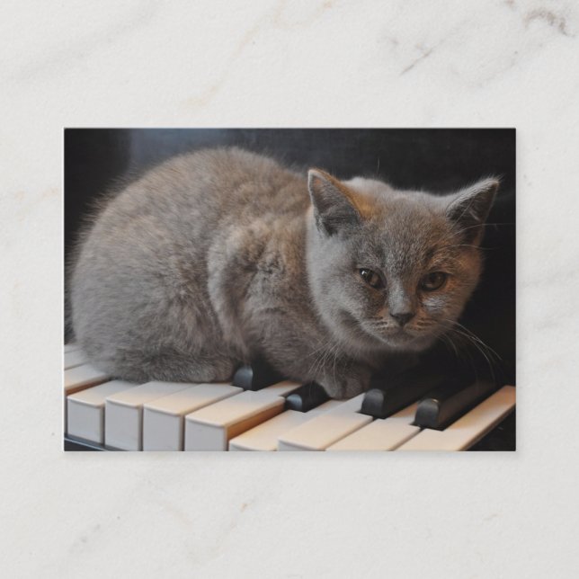 Carte de visite de leçon de piano ou de musique (Devant)