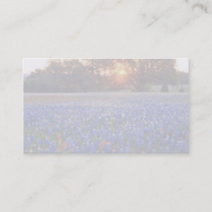 carte de visite de lever de soleil de bluebonnet