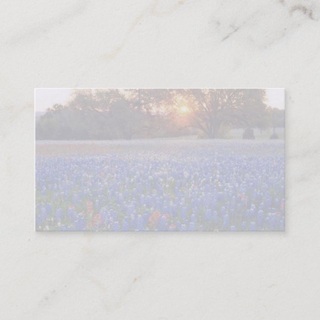 carte de visite de lever de soleil de bluebonnet (Devant)