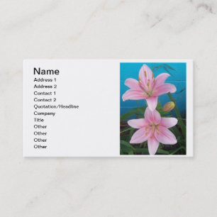 Carte de visite de Lilly de jour