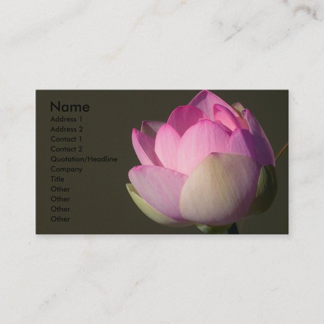 Carte de visite de Lotus rose (Devant)