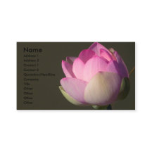 Carte de visite de Lotus rose