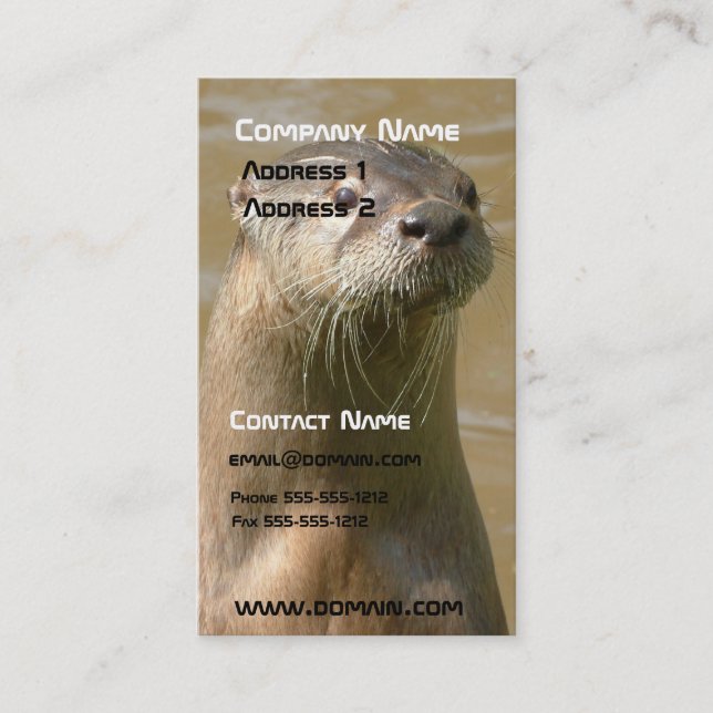 Carte de visite de loutre (Devant)