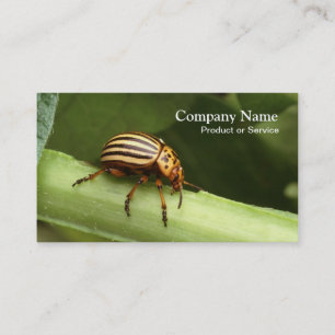 Carte de visite de lutte contre les parasites