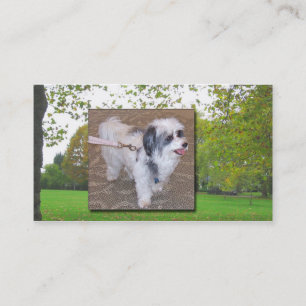 Carte de visite de marche de chien