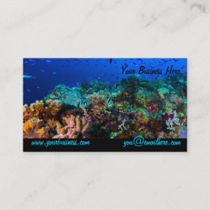 Carte de visite de mer de corail