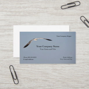 Carte de visite de mouette