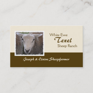 Carte de visite de moutons de Texel