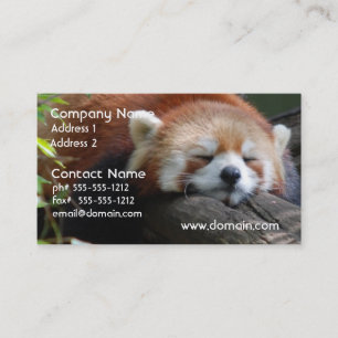 Carte de visite de panda rouge de sommeil