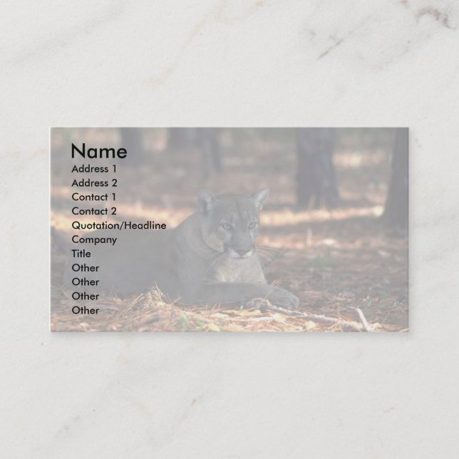 Carte De Visite """" De panthère de """" de la Floride (puma) se (Devant)