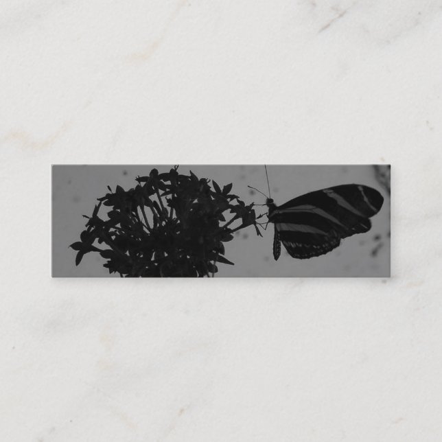 Carte de visite de papillon (Devant)