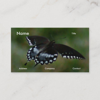 Carte de visite de papillon