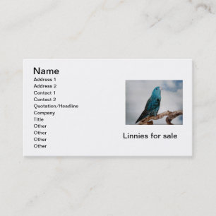 Carte de visite de perruches à l'état Linéaire