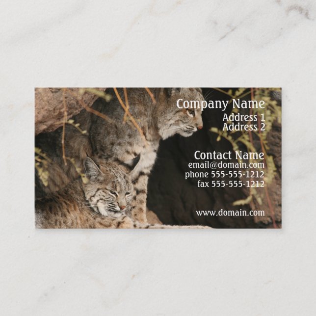 Carte de visite de photo de chat sauvage (Devant)