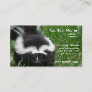 Carte de visite de photo de mouffette