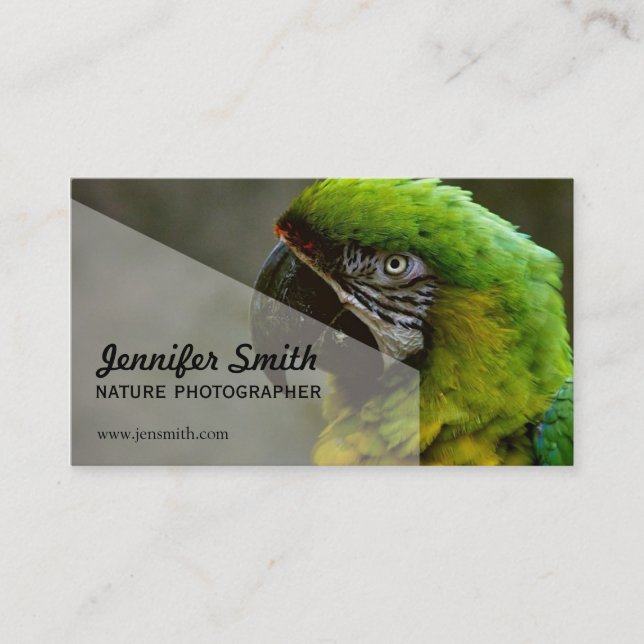 Carte de visite de photographe de nature (Devant)