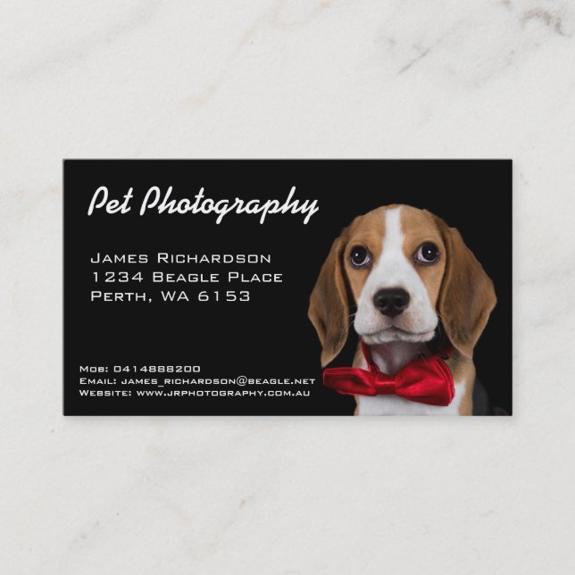 Carte de visite de photographie d'animal familier (Devant)