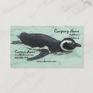 Carte de visite de pingouin