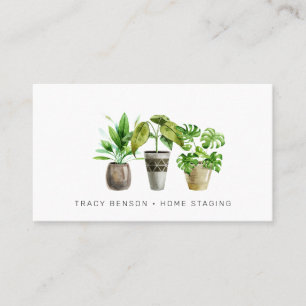 Carte de visite de Plante pointu