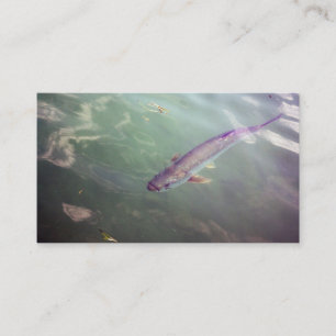 Carte de visite de poissons de tarpon