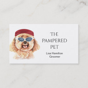 Carte de visite de poodle pour animaux de compagni