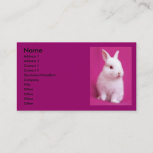 Carte de visite de Rabbitt