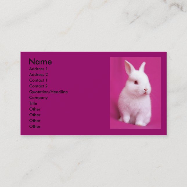 Carte de visite de Rabbitt (Devant)