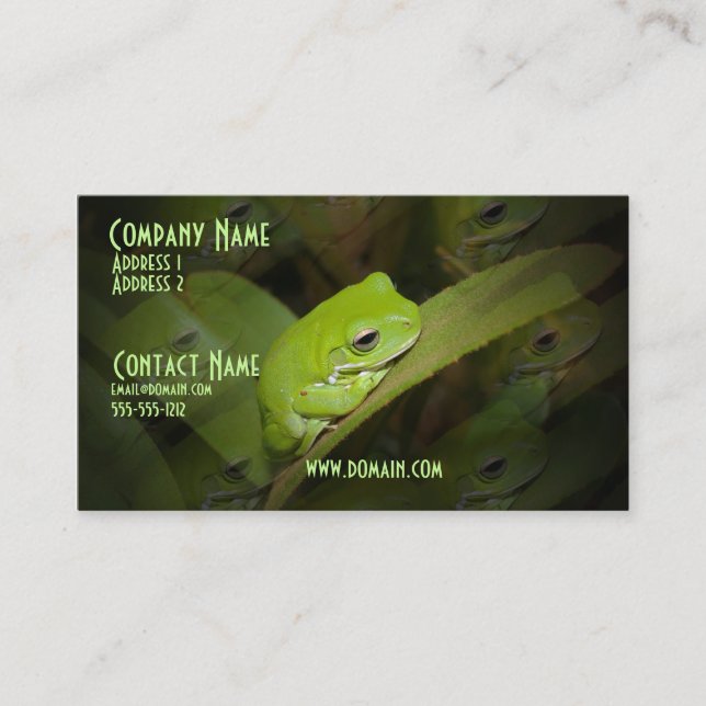 Carte de visite de réflexions de grenouille (Devant)