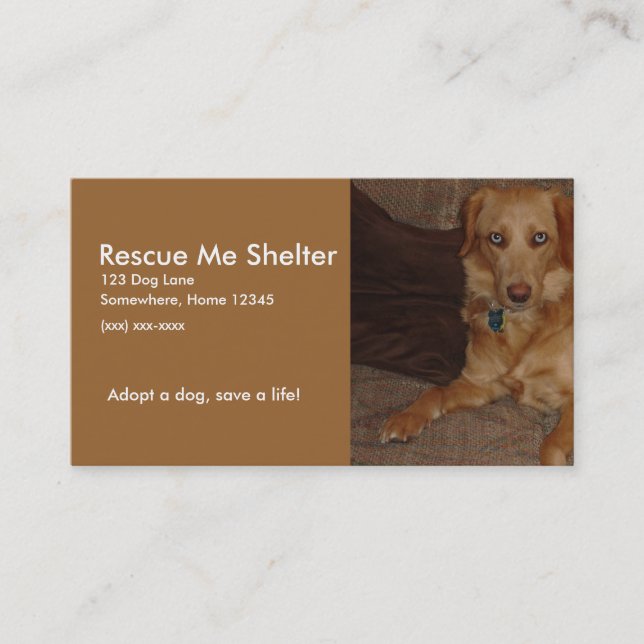 Carte de visite de refuge pour chiens (Devant)