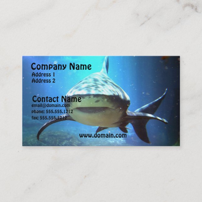 Carte de visite de requin (Devant)